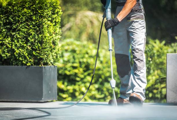 Professional Pressure Washing in Springdale, PA